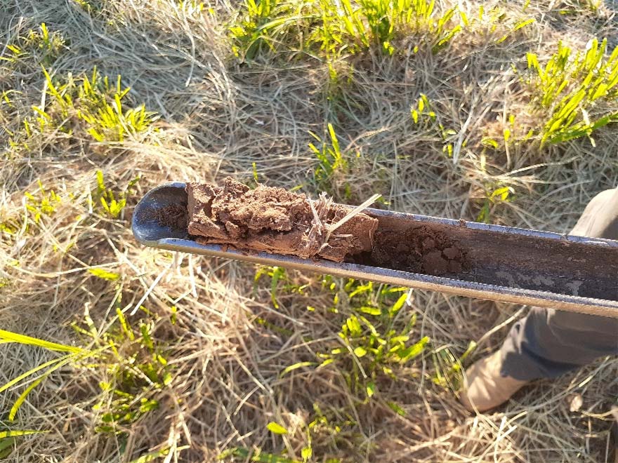 Cosechadora Agro Amaltea